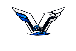 VANYOU Cargo Solutions Inc. logo